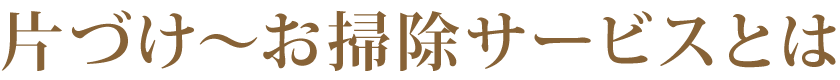 片づけオーガナイズサービスとは